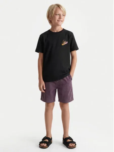 Quiksilver Medžiaginiai šortai Taxer Cord violetinė