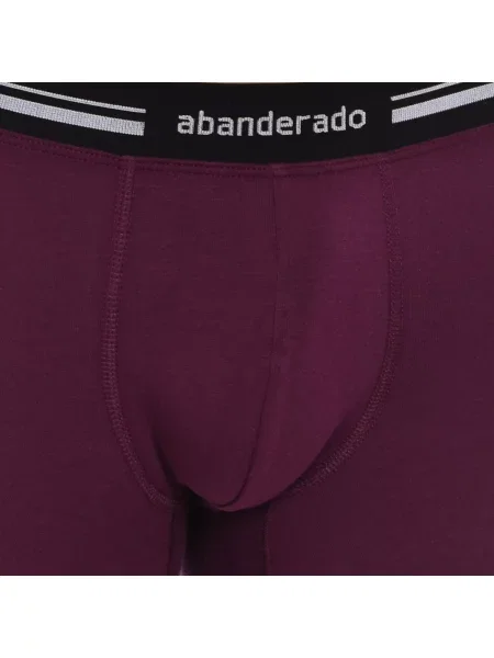 Chiloți Abanderado violet