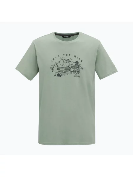 Tricou pentru bărbați Regatta ClineIX glacier wild scene