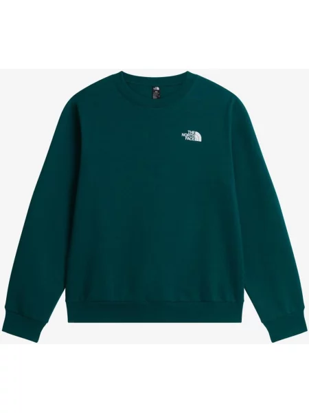 Bluza The North Face Evolution Box NSE Regular Crew zielono-niebieska S niebieska