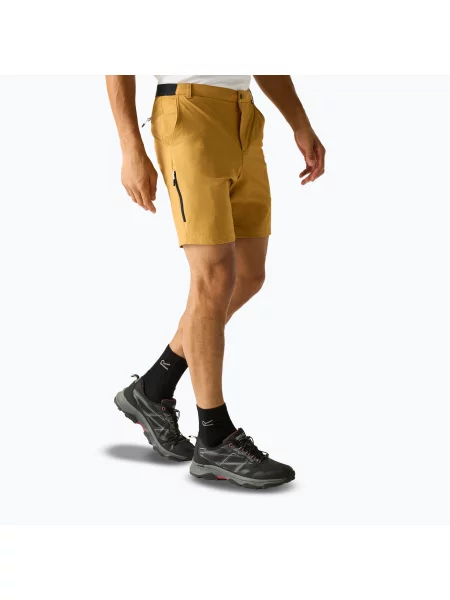 Férfi trekking rövidnadrág REGATTA Anti Insect Travel Light wood brown. Méret: 40 barna