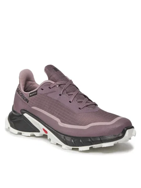 Salomon Pantofi Alphacross 5 Gtx W GORE-TEX 23 W0 violet