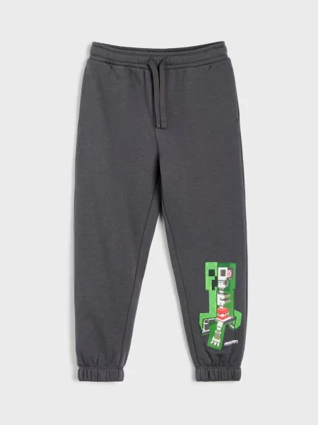 Sinsay Zateplené jogger kalhoty Minecraft šedá