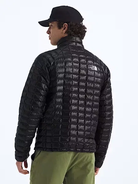 Демисезонная куртка The North Face черная