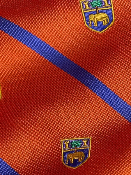 Шнур за пристягане карирана вратовръзка Polo Ralph Lauren бродирана зелено