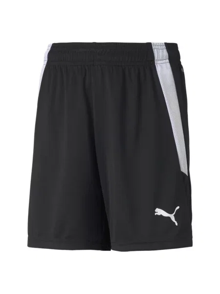 Spodenki Puma Team Liga białe