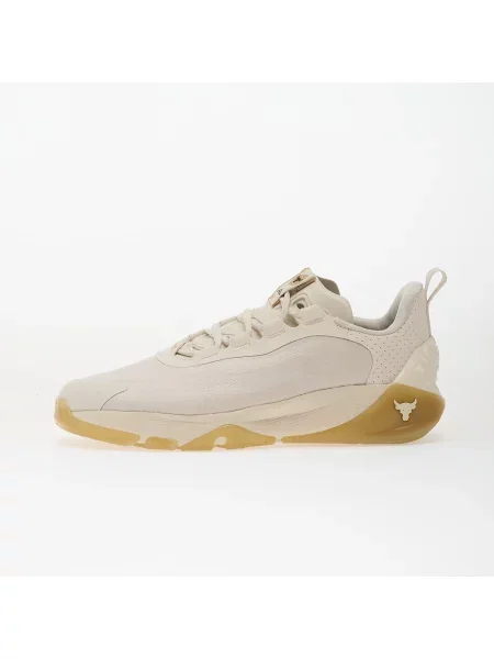 Sneakers Under Armour W Project Rock 8 Brown EUR καφέ