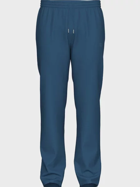 Спортивные штаны Arena синие