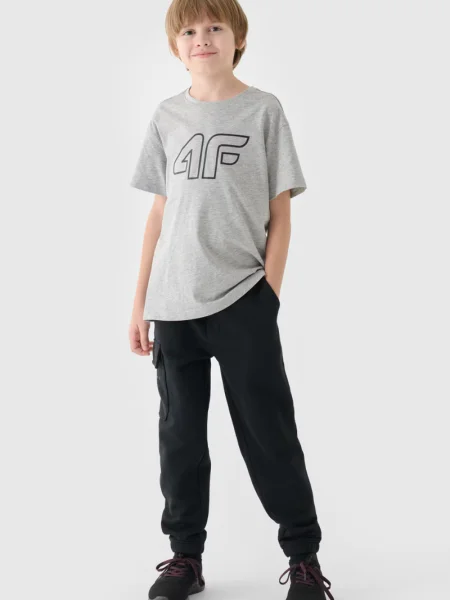 Спортни панталони 4f сиво