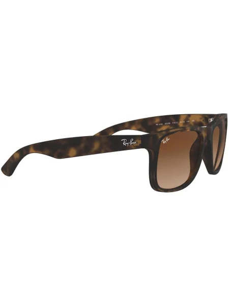 Ceas Ray-ban maro