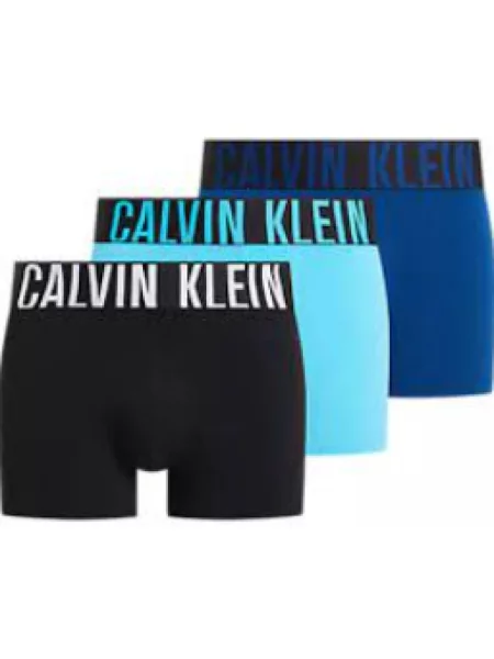 Calvin Klein Bokserki Intense Power 3 Szt. blau czarny