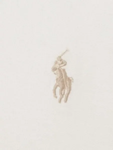 Polo Polo Ralph Lauren cu broderie gri