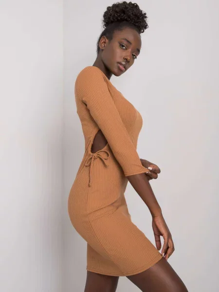 Obleka mini obleka Fashionhunters rjava