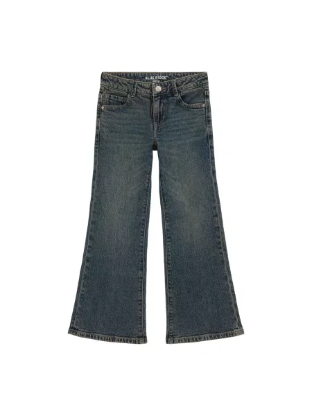WE Fashion Jeans închis albastru