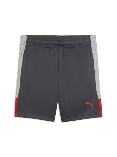 PUMA Młodzieżowe piłkarskie szorty treningowe IndividualLIGA Akcesoria szary