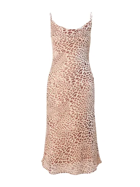 Coast Rochie de vară / crem / maro bej