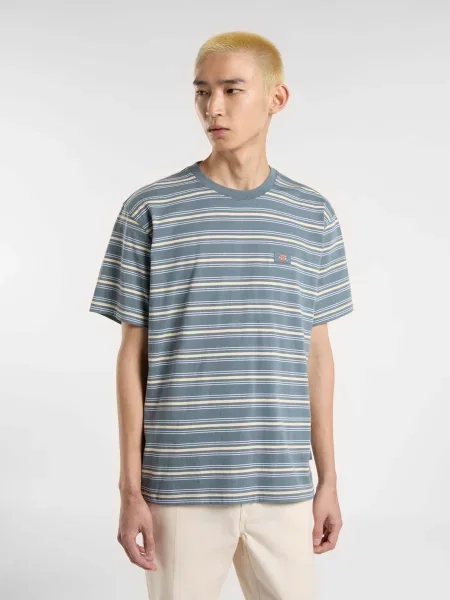 Футболка Dickies в полоску синяя