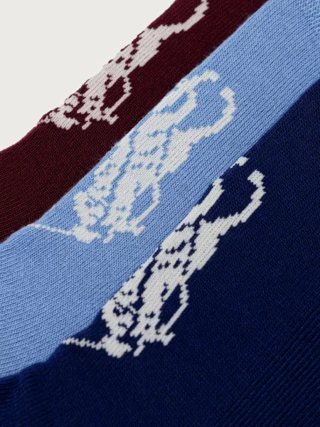 Polo Ralph Lauren ponožky dámske sivá