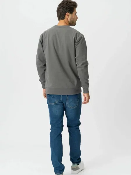 TEESHOPPEN Pulover Sweatshirt închis gri