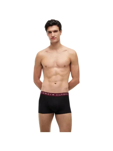 Gaćice Tommy Hilfiger