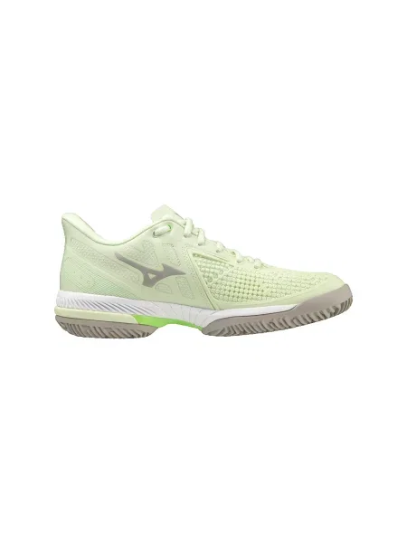 Pantofi Mizuno albastru