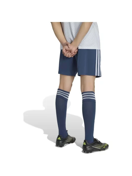 Pantaloni Adidas albastru