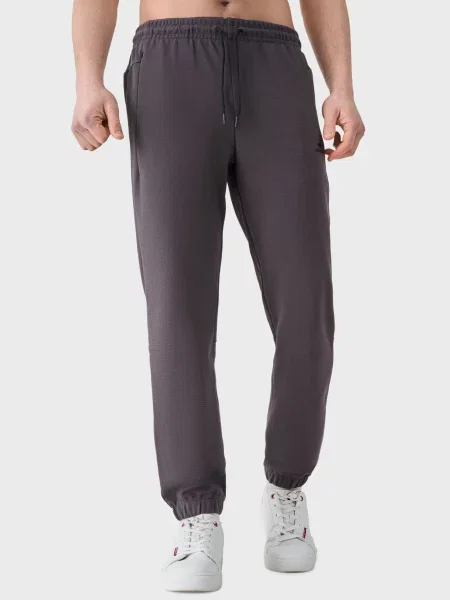 Спортивні штани AVECS темно-сірий бавовна/поліестер сірі