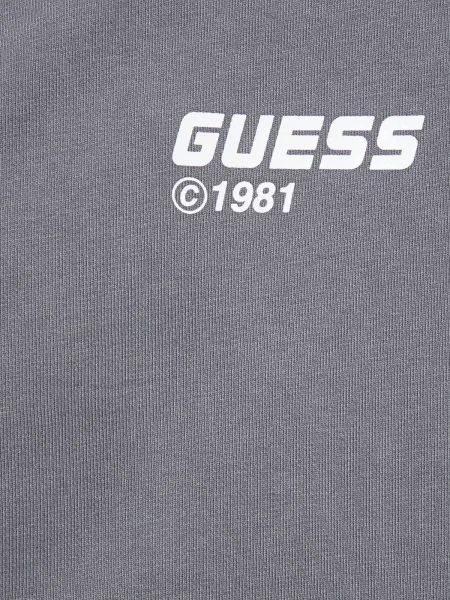 Кофта GUESS сірий