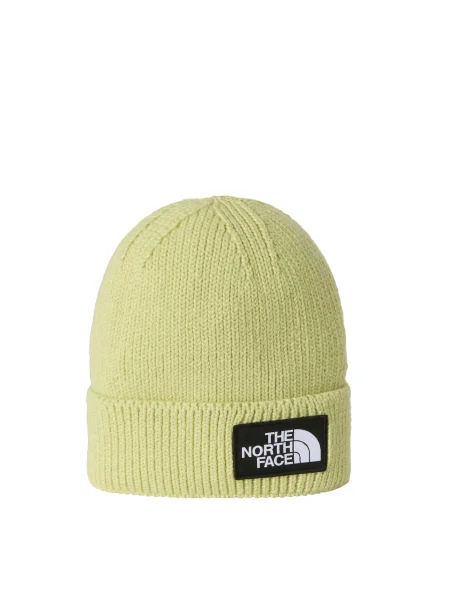 THE NORTH FACE Căciulă verde pastel / negru alb