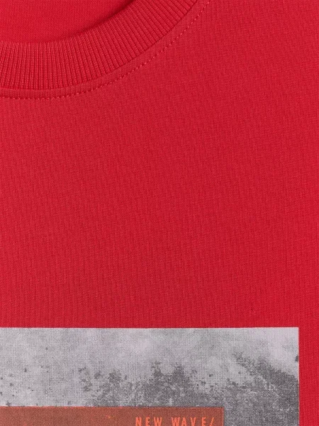 T-shirt regular z nadrukiem 4F czerwona