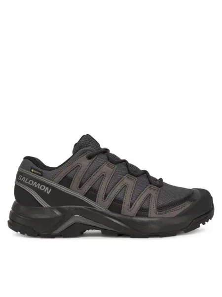 Salomon Трекінгові черевики X-Adventure Recon Gore Tex сірий