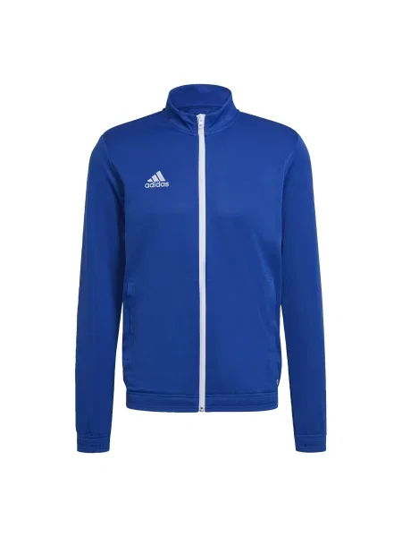 Kurtka Adidas niebieska