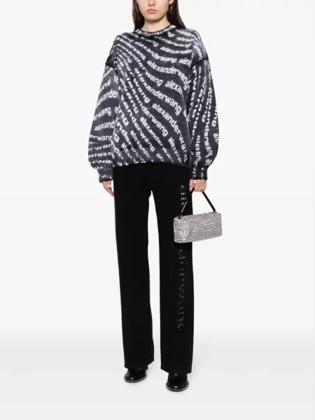 Rankinė Alexander Wang sidabrinė