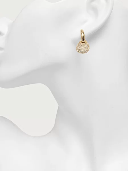 DKNY сережки