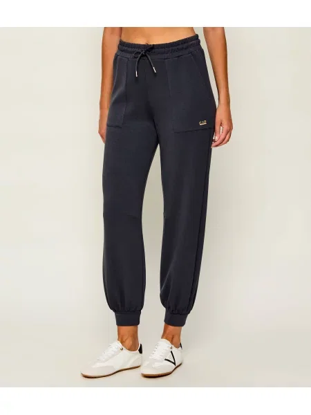 Pantaloni de jogging Ea7 gri