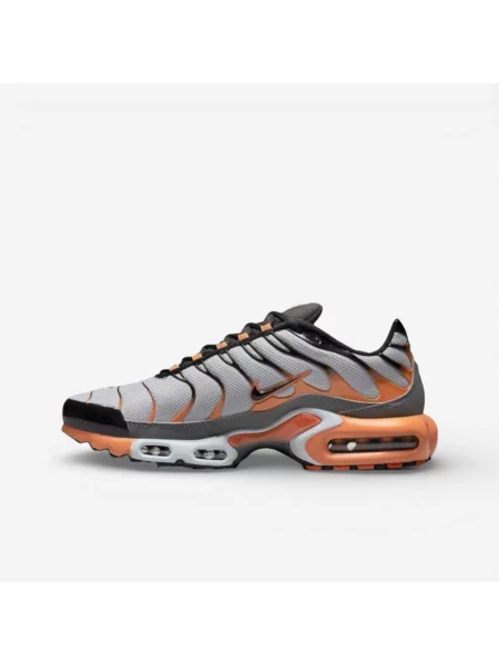 Tenisky Nike Air Max Plus sivá
