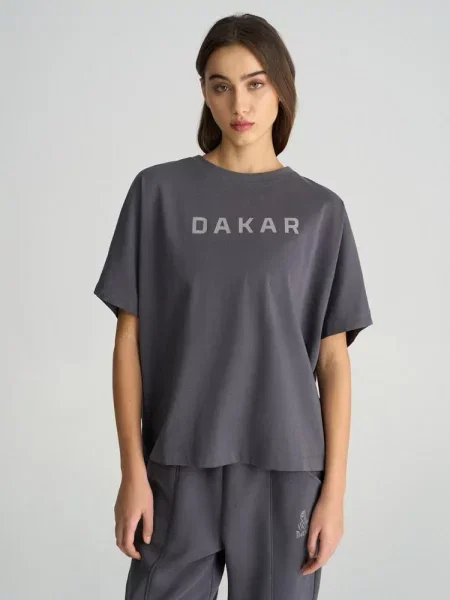 Футболка DIVERSE Dkr Des 23 1 графіт