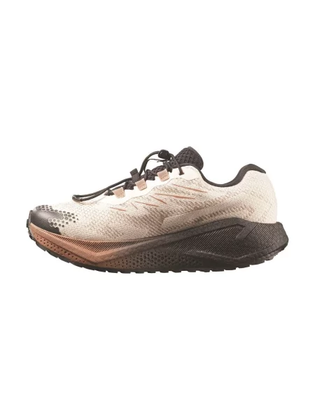 Salomon Pantofi pentru alergare Aero Blaze 4 gtx GORE-TEX bej