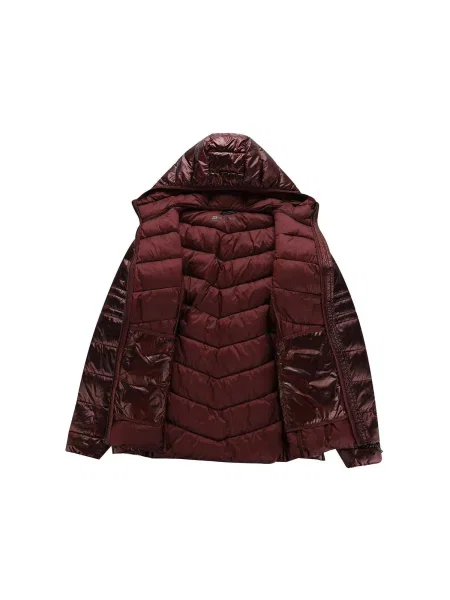 Geacă Alpine Pro bordo