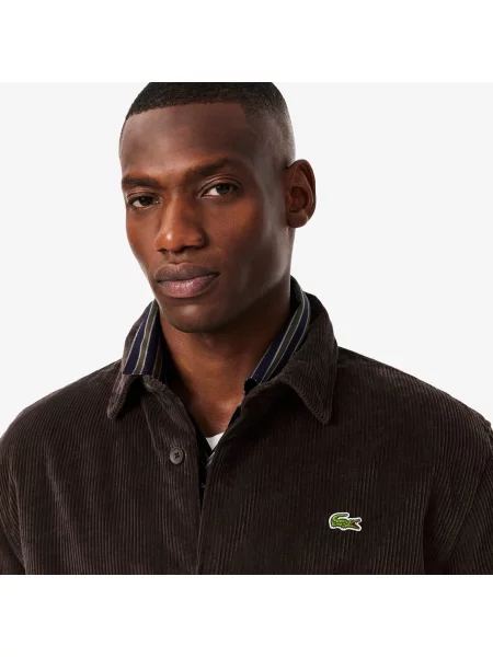 Рубашка Lacoste коричневая