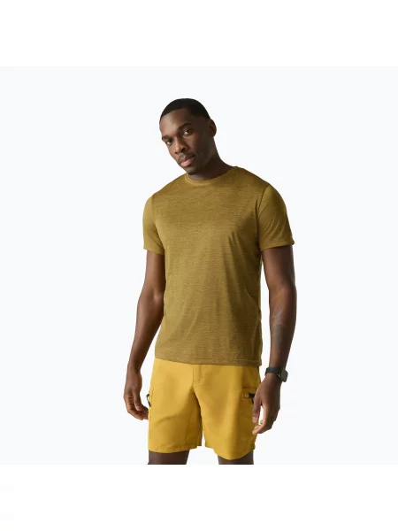 Мъжка тениска за трекинг REGATTA Fingal Edition wood brown кафяво