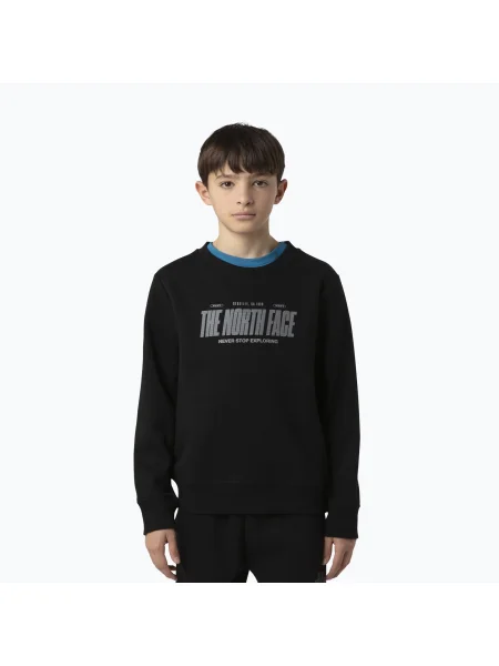 Hanorac pentru bărbați The North Face Reflective Logo Relaxed Crew black negru