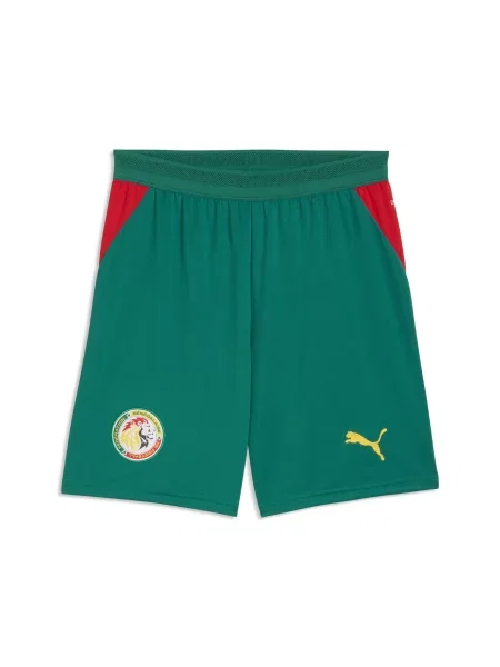 PUMA szorty Senegalu Akcesoria S zielony