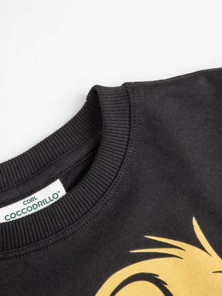 Детский лонгслив Coccodrillo