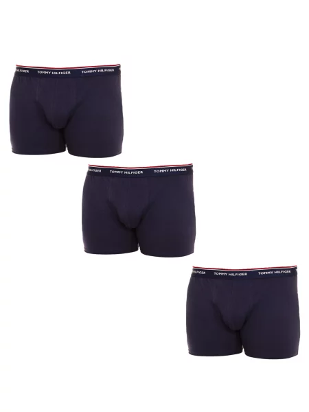 Chiloți Tommy Hilfiger albastru