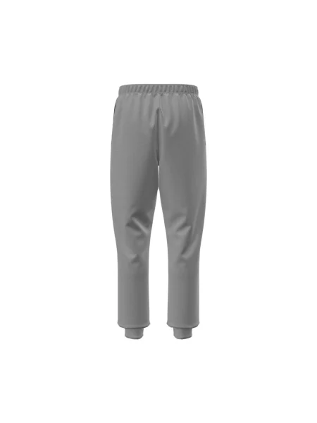 The North Face Pantaloni trening Evolution Simple Dome gri