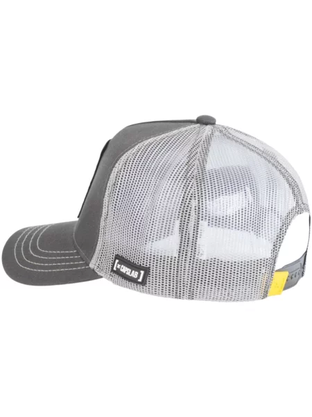Baseball sapka Capslab szürke
