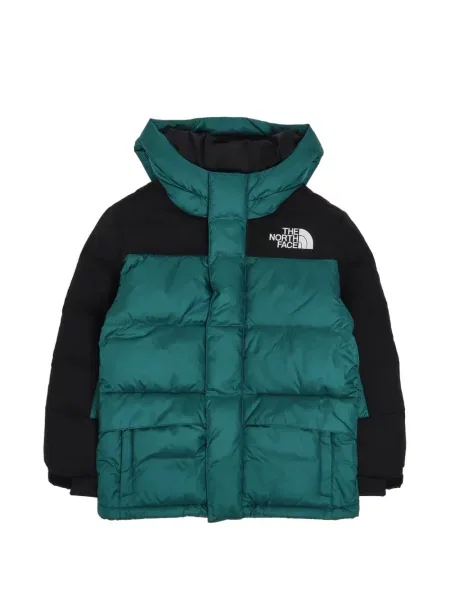 Jakna The North Face zelena