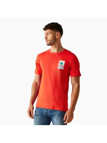 Мъжка тениска Regatta ClineIX маково готина за лятото червена
