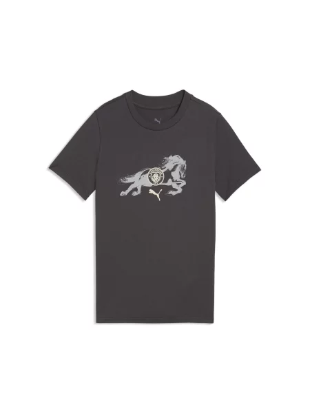 PUMA Młodzieżowa koszulka Manchester City × Year of the Horse Akcesoria szary